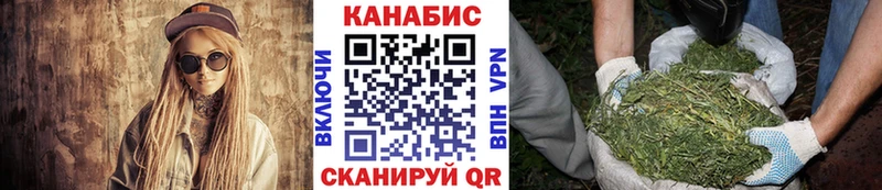 закладки  omg сайт  Канабис сатива  Себеж 
